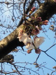 image/2011-03-30T16:25:07-1.jpg